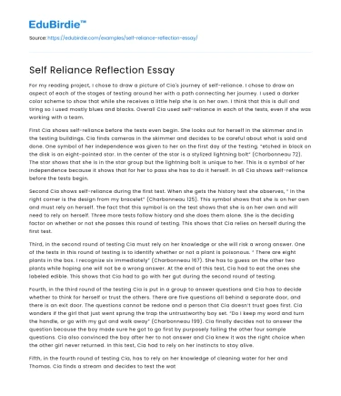 Self Reliance Reflection Essay