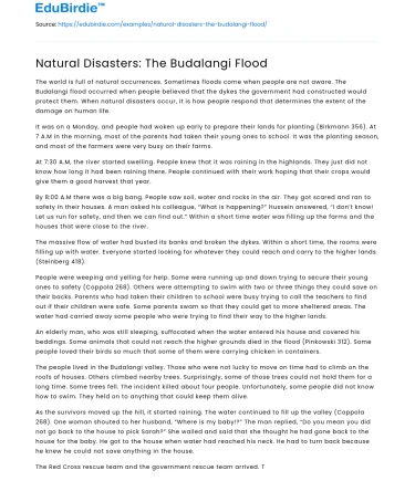 Natural Disasters: The Budalangi Flood