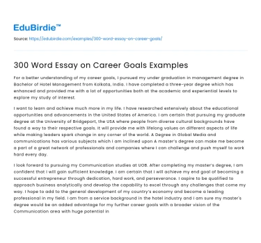 300 Word Essay on Career Goals Examples