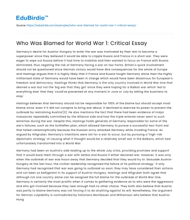 Who Was Blamed for World War 1: Critical Essay