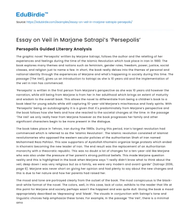 Essay on Veil in Marjane Satrapi’s ‘Persepolis’