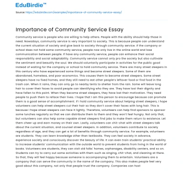 Importance of Community Service Essay