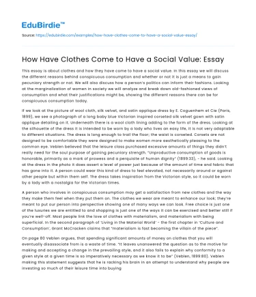 How Have Clothes Come to Have a Social Value: Essay