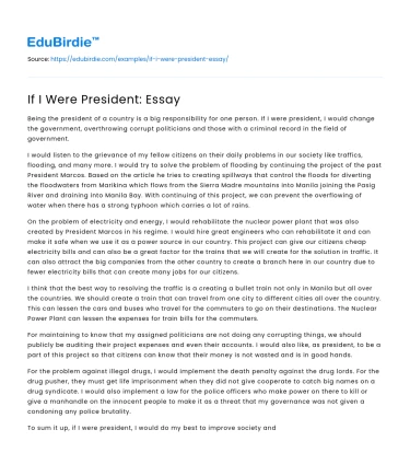 If I Were President: Essay