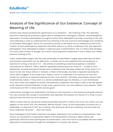 Analysis of the Significance of Our Existence: Concept of Meaning of Life