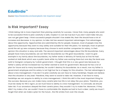 The Significance of Risk in Decision-Making