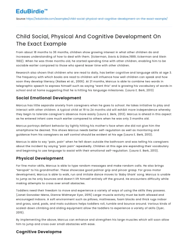Child Social, Physical And Cognitive Development On The Exact Example