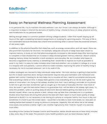Essay on Personal Wellness Planning Assessment