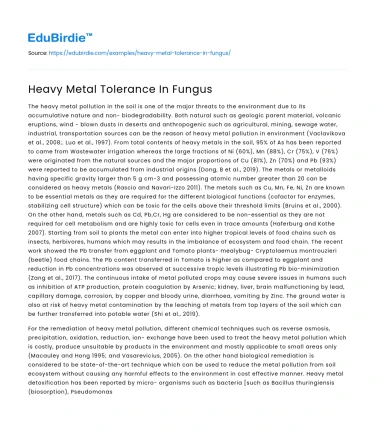 Heavy Metal Tolerance In Fungus