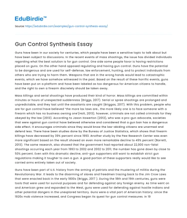 Gun Control Synthesis Essay