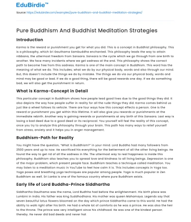 Core Buddhism and Meditation Techniques