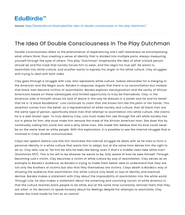 The Idea Of Double Consciousness In The Play Dutchman