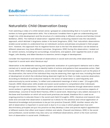 Naturalistic Child Observation Essay