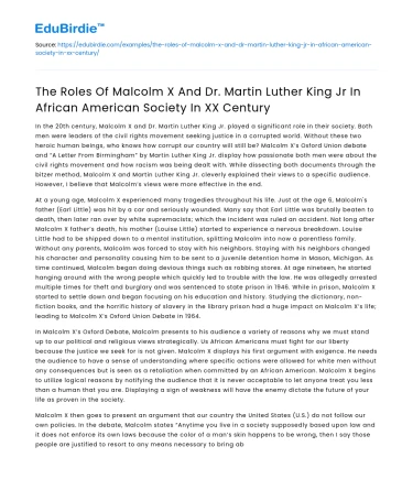 Malcolm X & MLK Jr in African American Society in XX Century