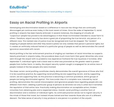Essay on Racial Profiling in Airports