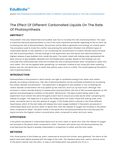 The Effect Of Different Carbonated Liquids On The Rate Of Photosynthesis