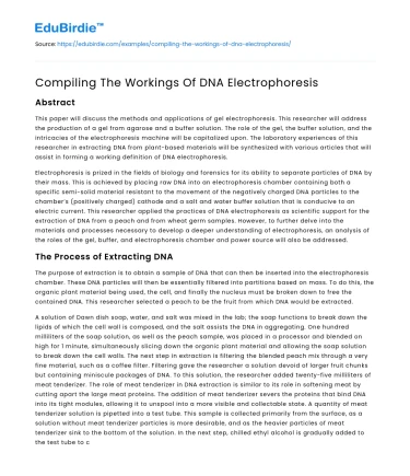Compiling The Workings Of DNA Electrophoresis