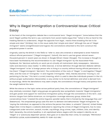 Why Is Illegal Immigration a Controversial Issue: Critical Essay