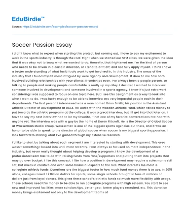 Soccer Passion Essay