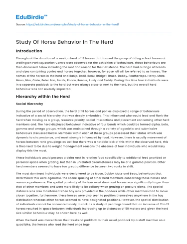Study Of Horse Behavior In The Herd
