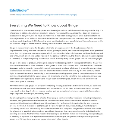 Everything We Need to Know about Ginger