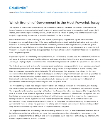 Which Branch of Government Is the Most Powerful: Essay
