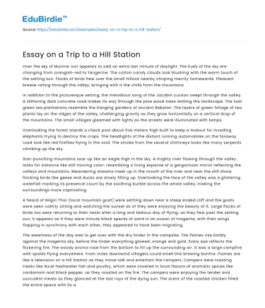 Essay on a Trip to a Hill Station