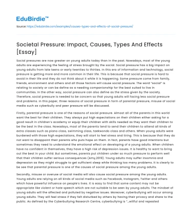 Societal Pressure: Impact, Causes, Types And Effects [Essay]