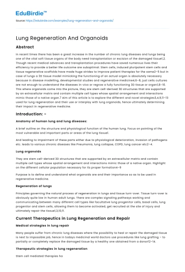 Lung Regeneration And Organoids