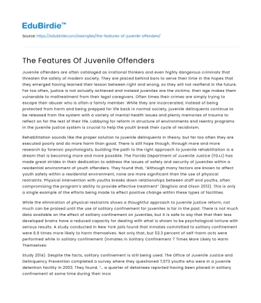 The Features Of Juvenile Offenders