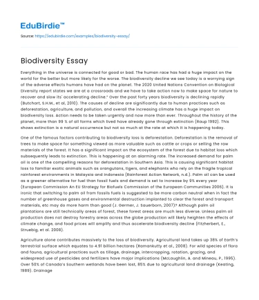 Biodiversity Essay