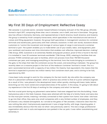My First 30 Days of Employment: Reflective Essay