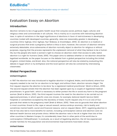 Evaluation Essay on Abortion