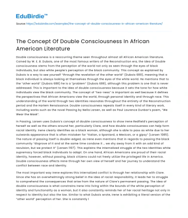 The Concept Of Double Consciousness In African American Literature