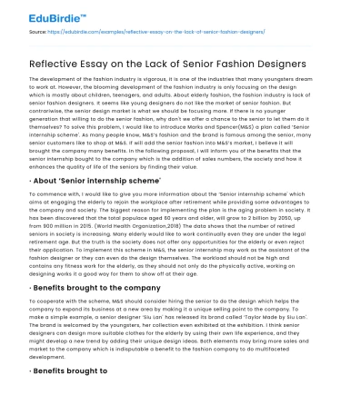 Reflective Essay on the Lack of Senior Fashion Designers