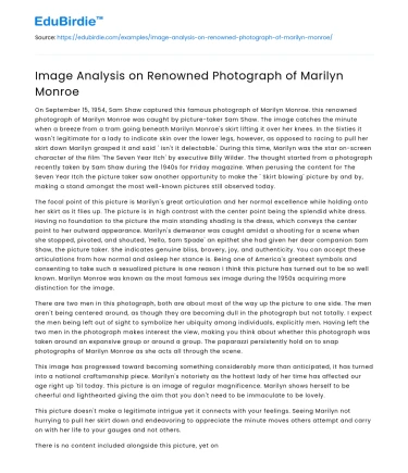 Image Analysis on Renowned Photograph of Marilyn Monroe