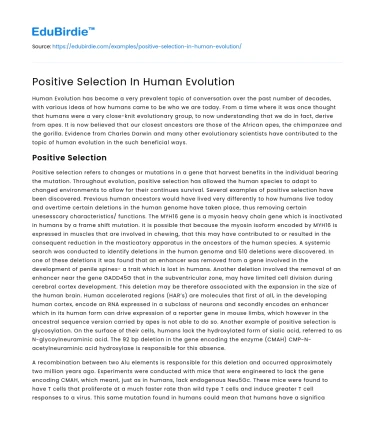 The Role of Positive Selection in Shaping Human Evolution