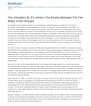 The Outsiders: Rivalry Between Youth Groups