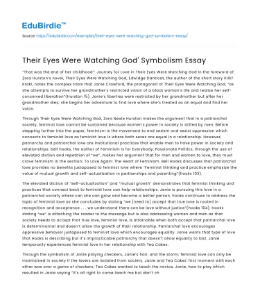 Their Eyes Were Watching God’ Symbolism Essay