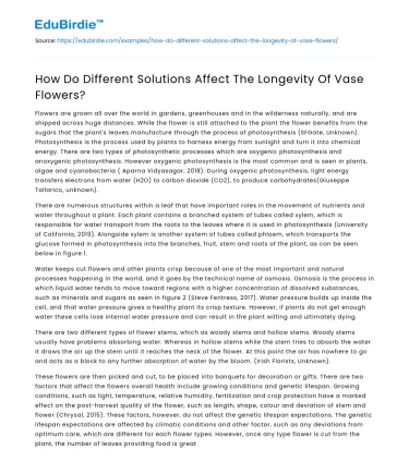 How Do Different Solutions Affect The Longevity Of Vase Flowers?