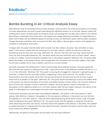 Bombs Bursting in Air: Critical Analysis Essay