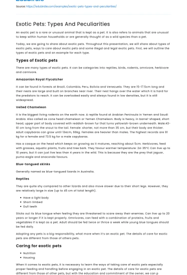 Exotic Pets: Types And Peculiarities