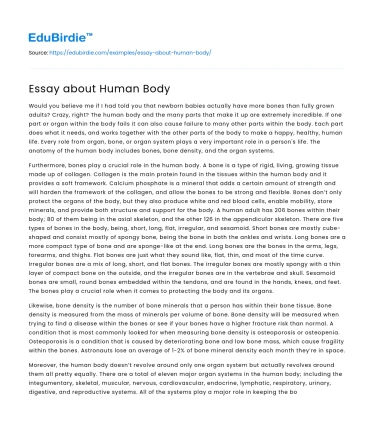 Essay about Human Body