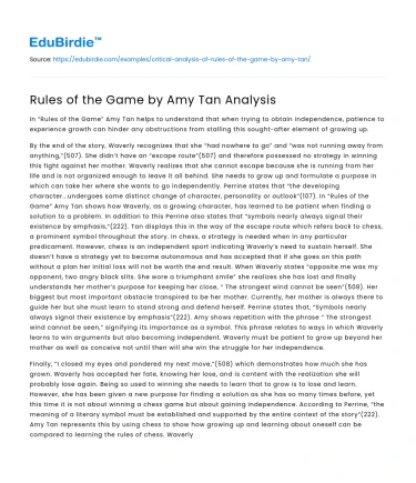 Rules of the Game by Amy Tan Analysis
