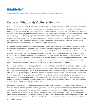 Essay on What Is My Cultural Identity