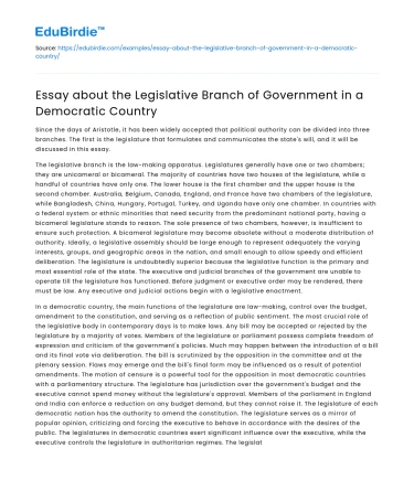 The Legislative Branch of Government in a Democratic Country