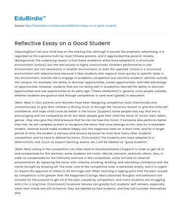 Reflective Essay on a Good Student