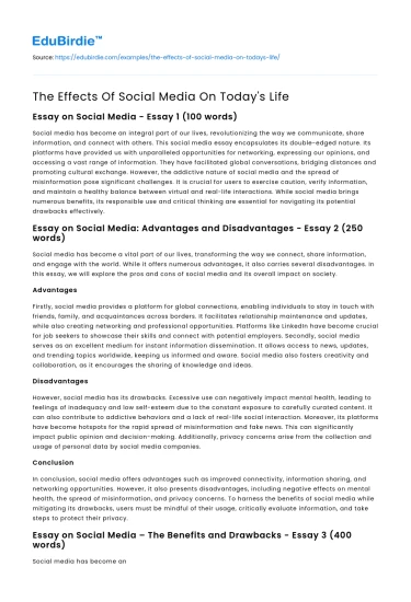 Essay on Social Media