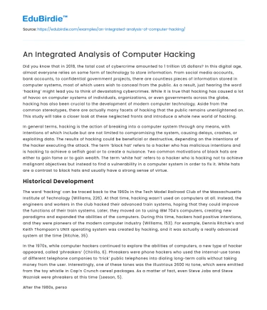 An Integrated Analysis of Computer Hacking