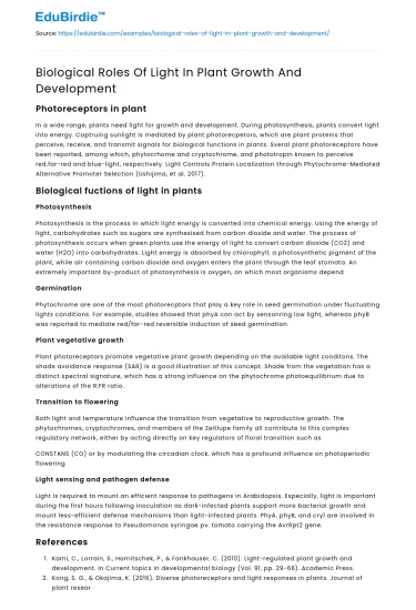 Illuminating Growth: The Impact of Light on Plant Development